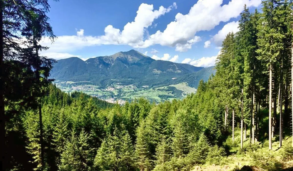 cover-fiemmeper